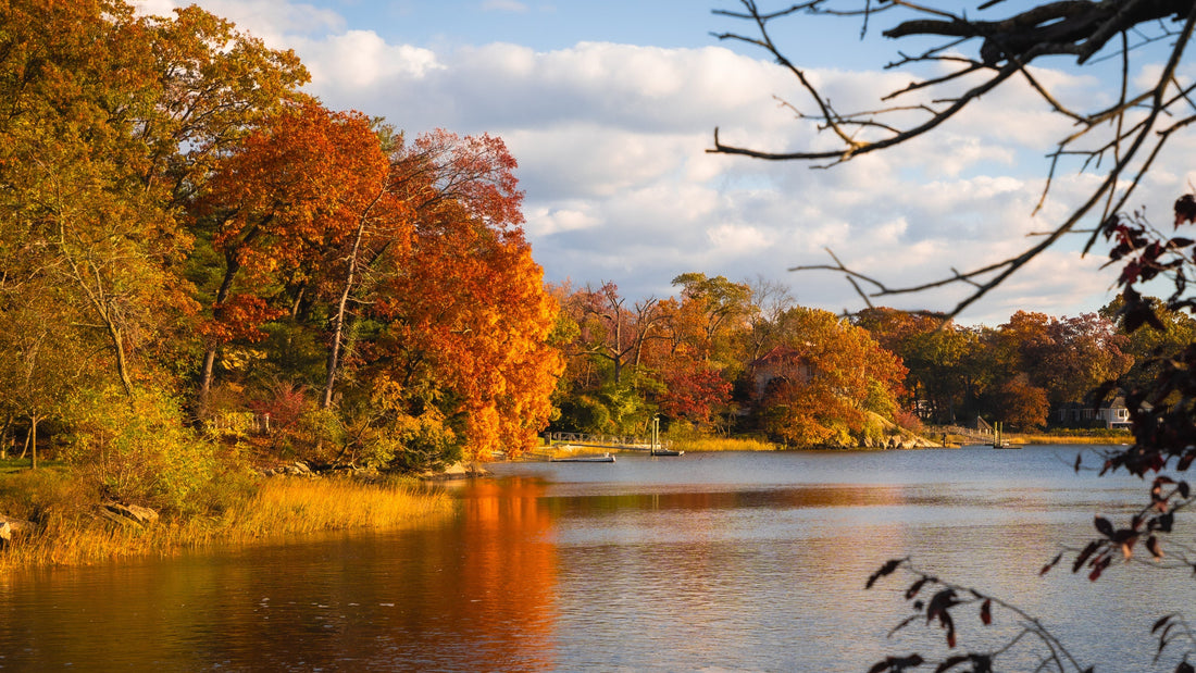 Autumn trees with orange leaves reflect in a calm lake under a partly cloudy sky. A small dock extends into the water. Serene setting.