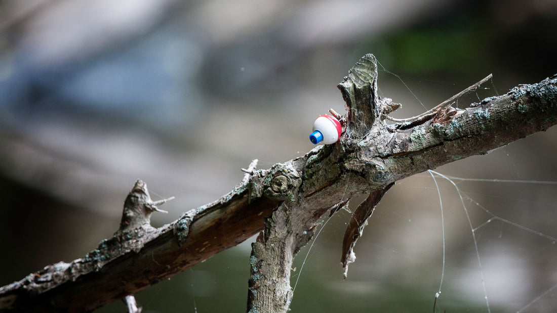snagged fishing line on tree