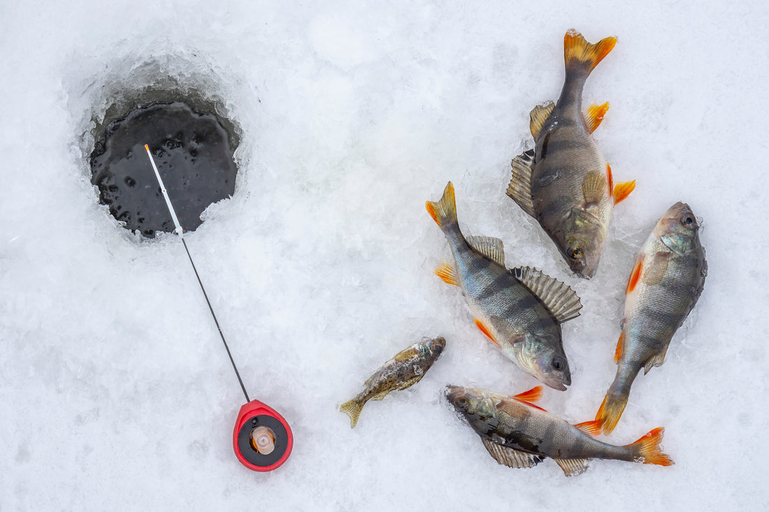 ice fishing