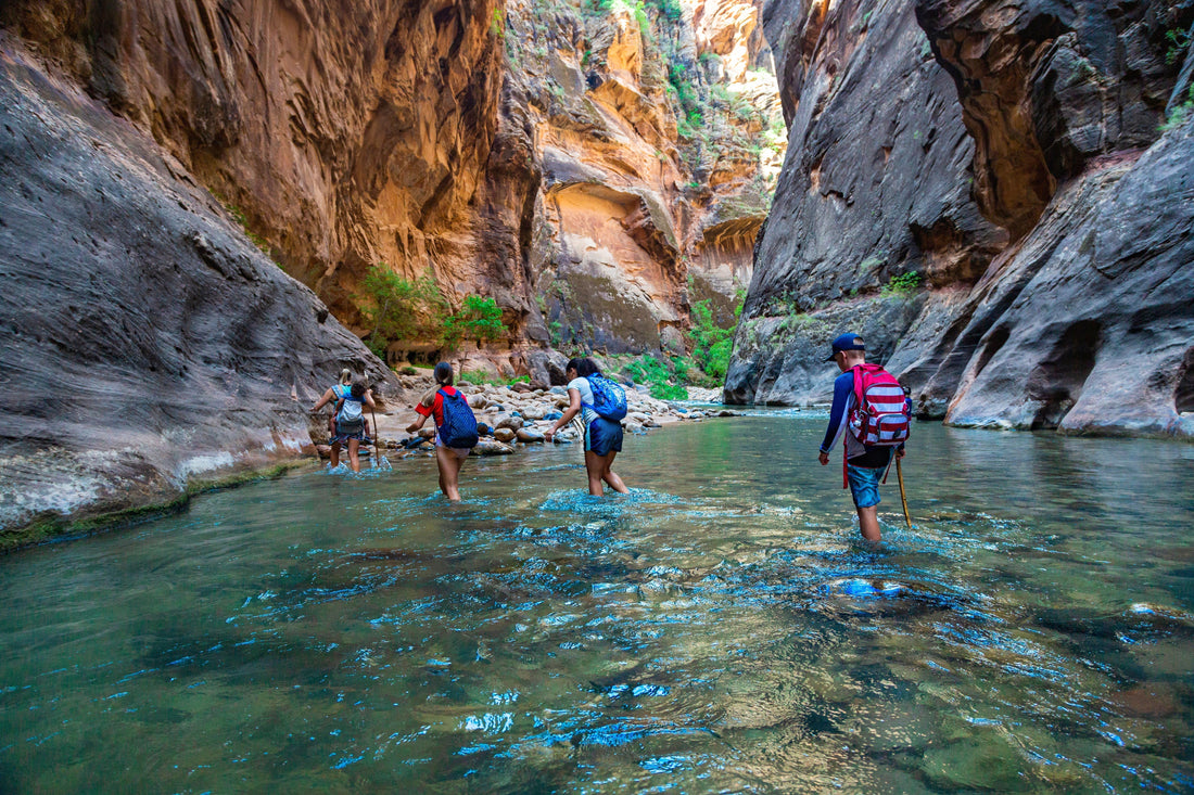 Group of diverse people hiking through a river at Zion National Park. Exploring the beauty of the Narrows and the beautiful canyons of the narrows