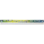 Fishing ruler measurement