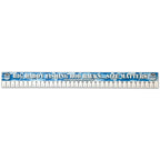 Fish ruler