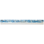 Blue Camo PVC Ruler image 0